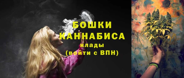 хмурый Покачи