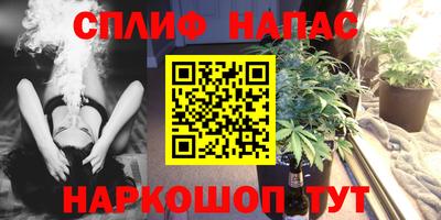эйфоретик Гай