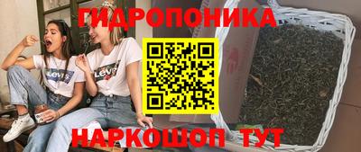 эйфоретик Гай