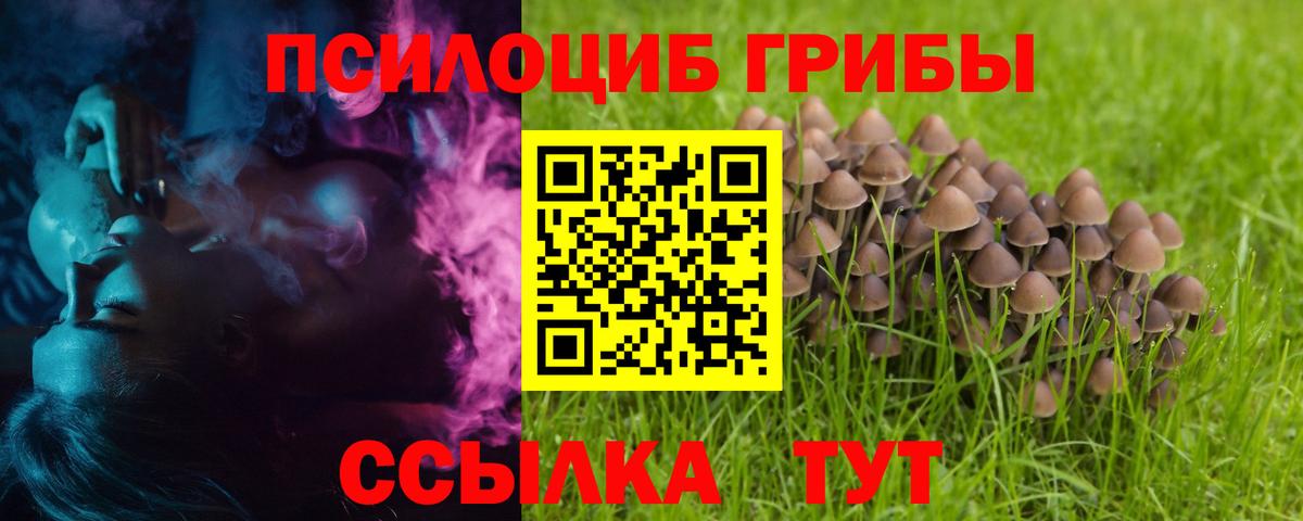 Кыштым  Псилоцибиновые грибы Cubensis  Вход с VPN 